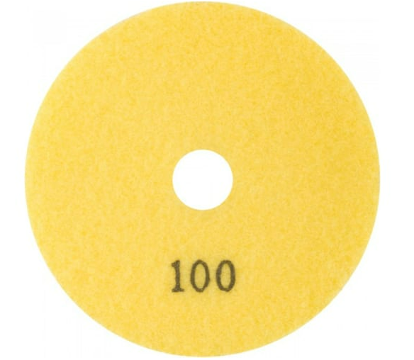п100