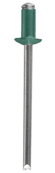 6005
