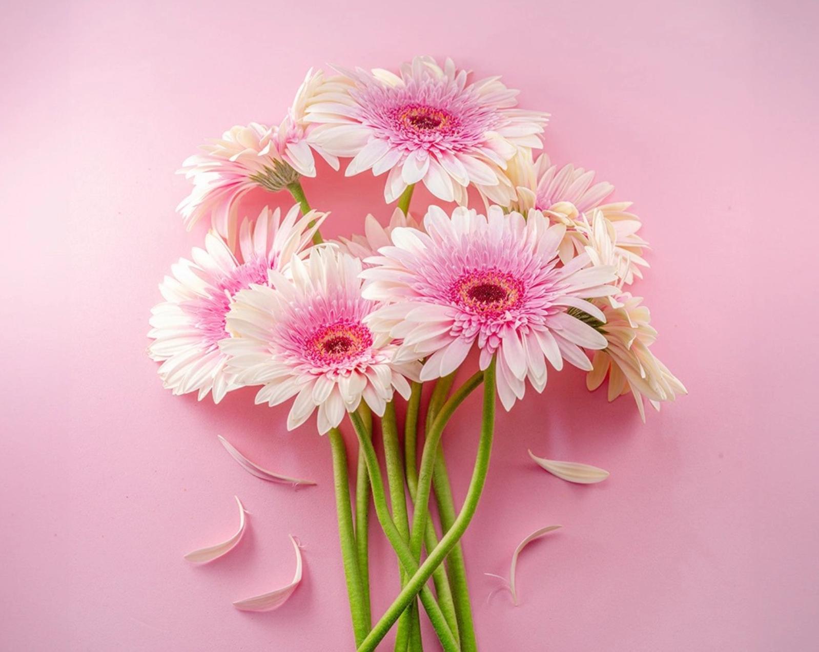 Дорогие женщины поздравляем вас с праздником 8 марта!