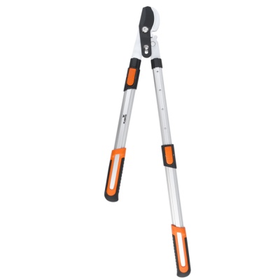 e18d4a68_dde4_11ed_a2a4_246e962f501d_257dc484_ddec_11ed_a2a4_246e962f501d.resize1