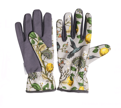 Безымянный