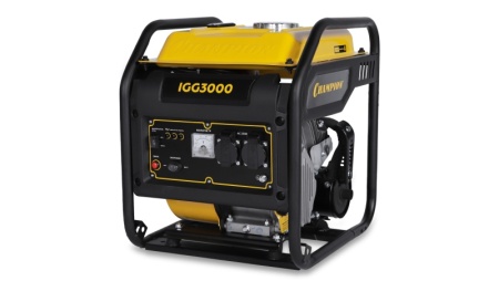 IGG3000_1_